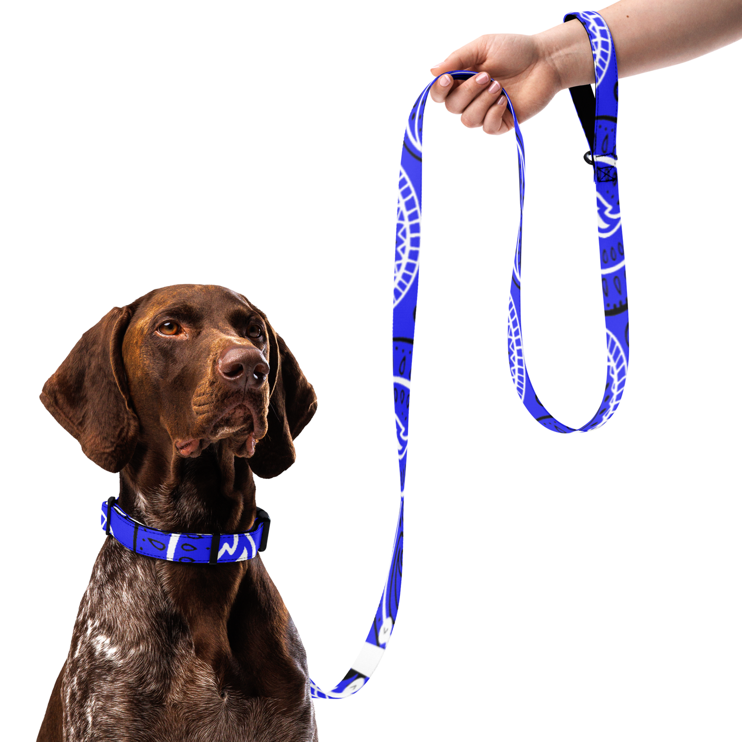 Collier et laisse bandana pour animaux de compagnie Love The Hustle™, bleu
