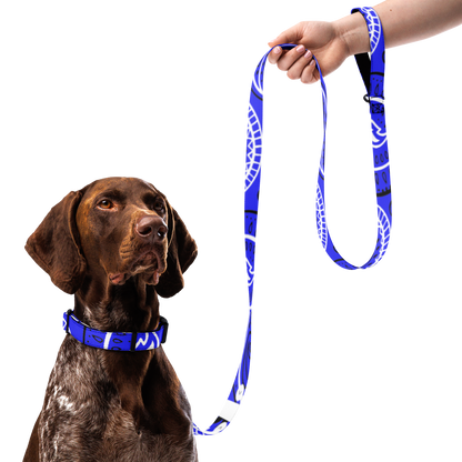 Collier et laisse bandana pour animaux de compagnie Love The Hustle™, bleu